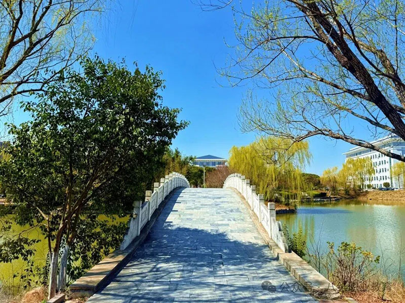 北京八維教育就業(yè)前景分析：2024年高薪就業(yè)的“隱形加速器”在哪里？