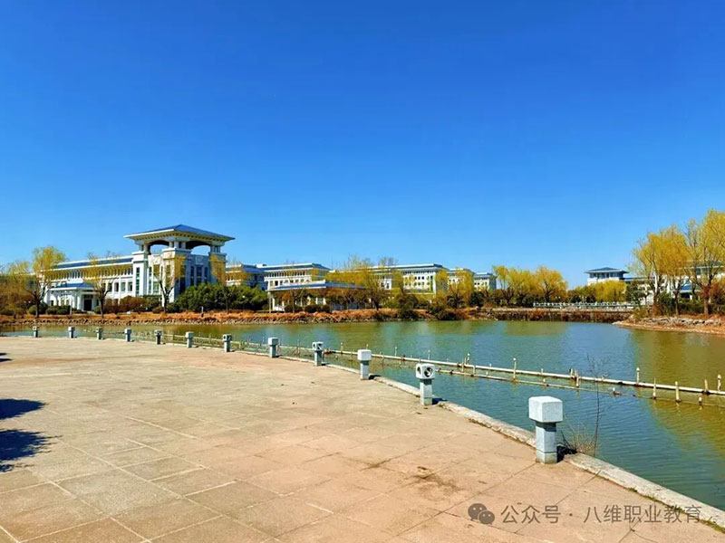 八維教育助力職業(yè)發(fā)展：從零基礎(chǔ)到高薪就業(yè)的加速引擎