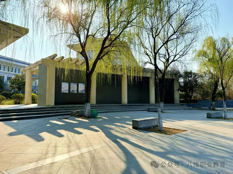 北京八維教育課程全解析：零基礎如何選對IT職業(yè)培訓？