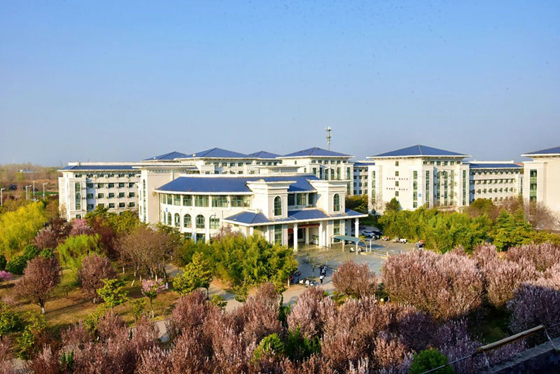 2025年八維教育就業(yè)數(shù)據(jù)深度解析：高薪率、對(duì)口率與產(chǎn)業(yè)適配力全景報(bào)告