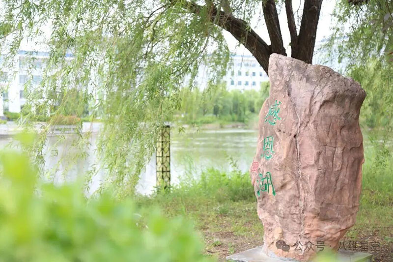 八維教育助力職業(yè)發(fā)展：從零基礎(chǔ)到高薪就業(yè)的加速引擎